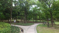 三林公園